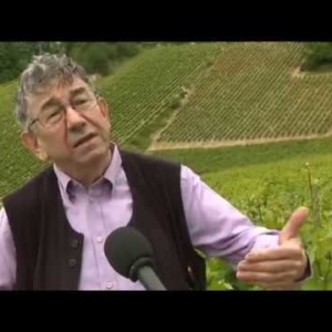 Le rosé des Riceys fête les 70 ans de son AOC - Reportage France 3 Champagne Ardenne